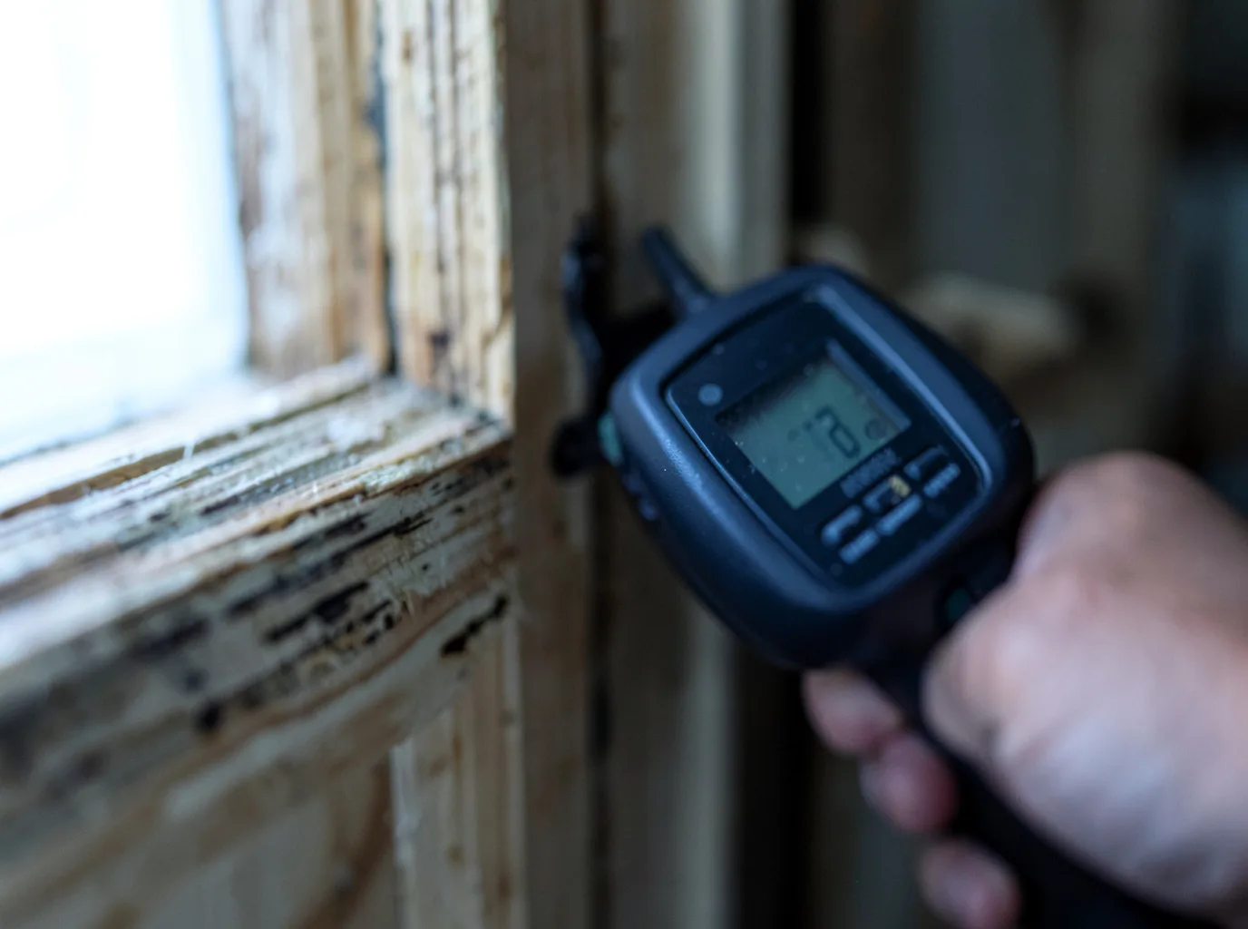 Moisture Inspection And Documentation in Luxemburg, WI